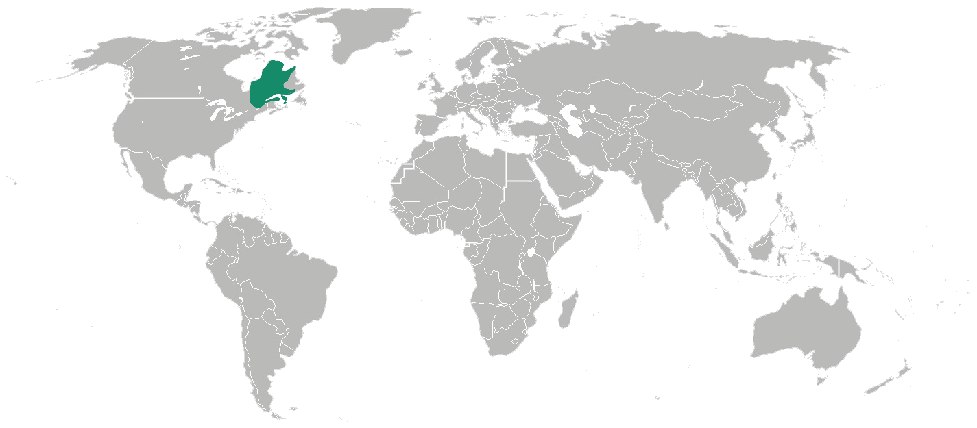 présentation de la destination avec le Québec coloré en vert sur la carte du monde